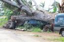 Cyclone damage on Tanna